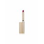 Estée Lauder Pure Color Explicit Matte 302-Last Impression