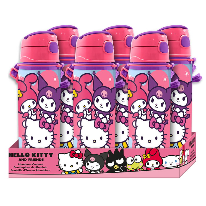 Kids Licensing Gourde Aluminium Isotherme 600 ml avec Poignée Hello Kitty & Friends HK50206 pour Enfants à partir de 3 ans