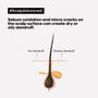 L'Oréal Professionnel Paris Scalp Advanced Shampooing Antipelliculaire et Purifiant 300 ml