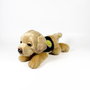 DEQUBE Peluche Labrador Canela 21 cm avec gilet - Licence Bocalan - Peluche douce pour enfant