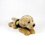 DEQUBE Peluche Labrador Canela 21 cm avec gilet - Licence Bocalan - Peluche douce pour enfant