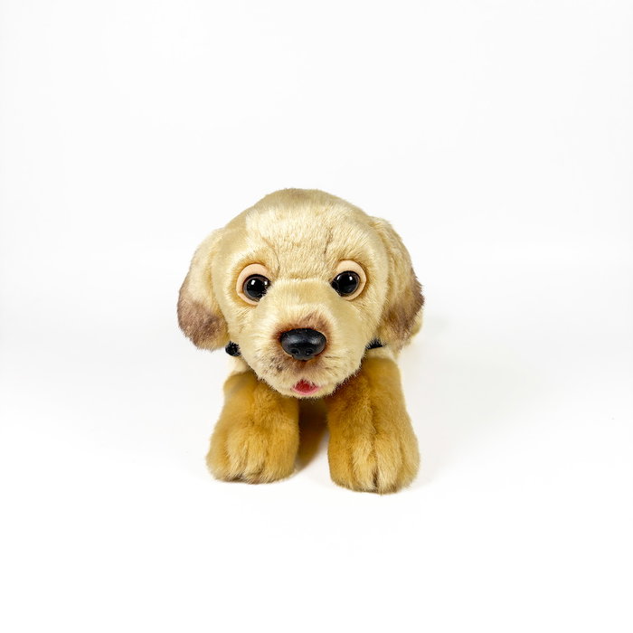 DEQUBE Peluche Labrador Canela 21 cm avec gilet - Licence Bocalan - Peluche douce pour enfant