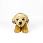 DEQUBE Peluche Labrador Canela 21 cm avec gilet - Licence Bocalan - Peluche douce pour enfant