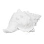 Figurine Décorative Blanc Conque 21 x 14 x 12 cm