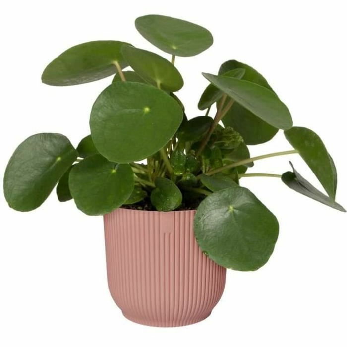 Elho Pot de fleurs VIBES Fold Round Bleu foncé Ø29,5 cm