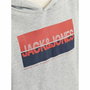 Sweat à capuche homme Jack & Jones Jjnolan Gris Love Weapon