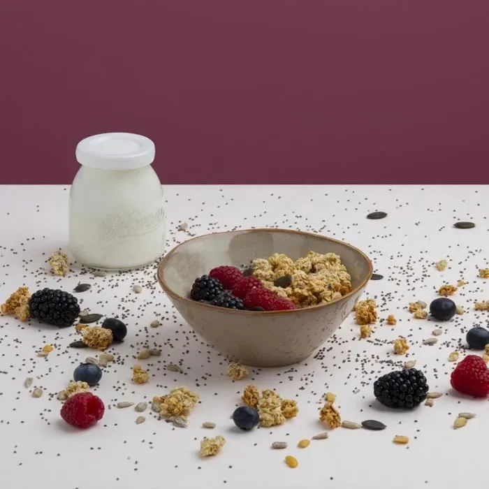 Yaourtière HKoeNIG ELY120 - 12 Pots en Verre 160ml + Pot à Fromage Blanc 1.2L - Programmable 15h - Pour Lait Entier, Écrémé, Démisé ou Végétal - Yaourts Maison ou Grecs