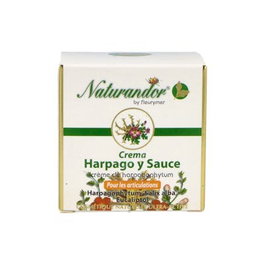 FLEURYMER Crème à l'Harpagophytum et au Saule 50ml