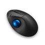 Kensington Pro Fit Ergo TB450 Trackball Ergonomique Sans Fil