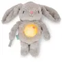 Ingenuity Veilleuse Doudou Bébé Sylvi - Peluche Musicale Lumineuse avec Détection des Pleurs, Attache-Tétine, 10 Mélodies, 5 Couleurs LED
