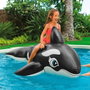 Intex Figure gonflable Baleine 193 cm x 119 cm PVC, pour enfant de plus de 3 ans