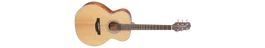 Takamine GN20-NS