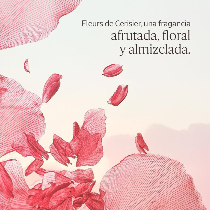 L'Occitane En Provence Gel Douche Fleurs de Cerisier 250 ml Parfum Fleuri