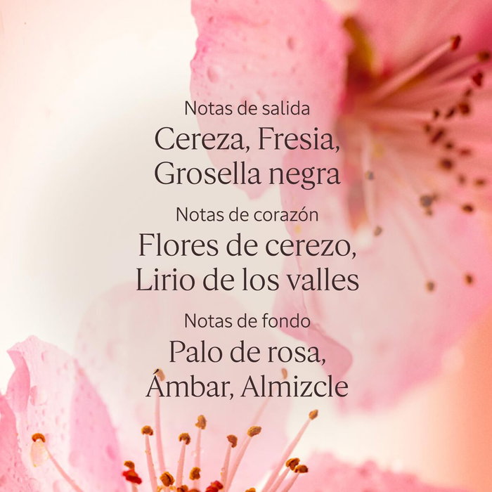 L'Occitane En Provence Gel Douche Fleurs de Cerisier 250 ml Parfum Fleuri