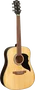 EKO Guitare Acoustique Dreadnought Ranger VI - Natural
