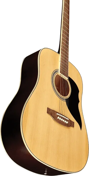 EKO Guitare Acoustique Dreadnought Ranger VI - Natural
