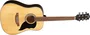 EKO Guitare Acoustique Dreadnought Ranger VI - Natural