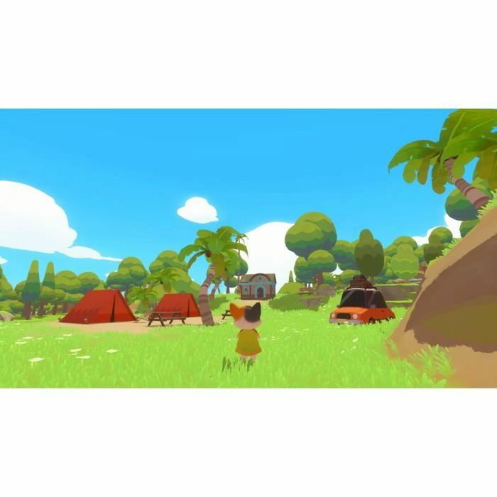 Microids Petit Island PS5