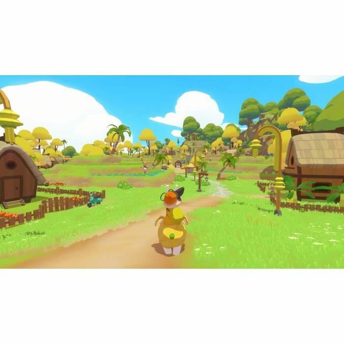 Microids Petit Island PS5