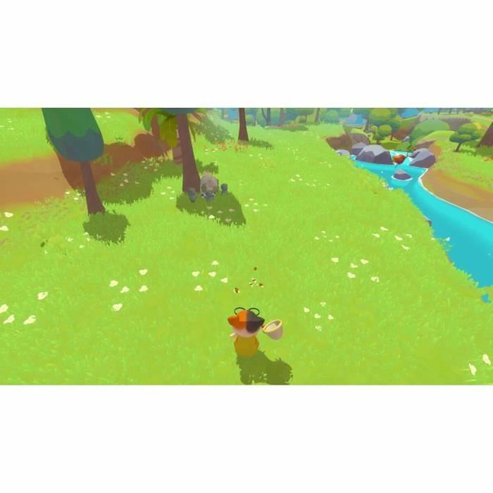 Microids Petit Island PS5