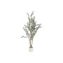 Home ESPRIT Arbre Polyester Ciment Olivier 60 x 60 x 150 cm