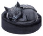 Nemesis Now figurine Malpuss Dreams Cult Cuties