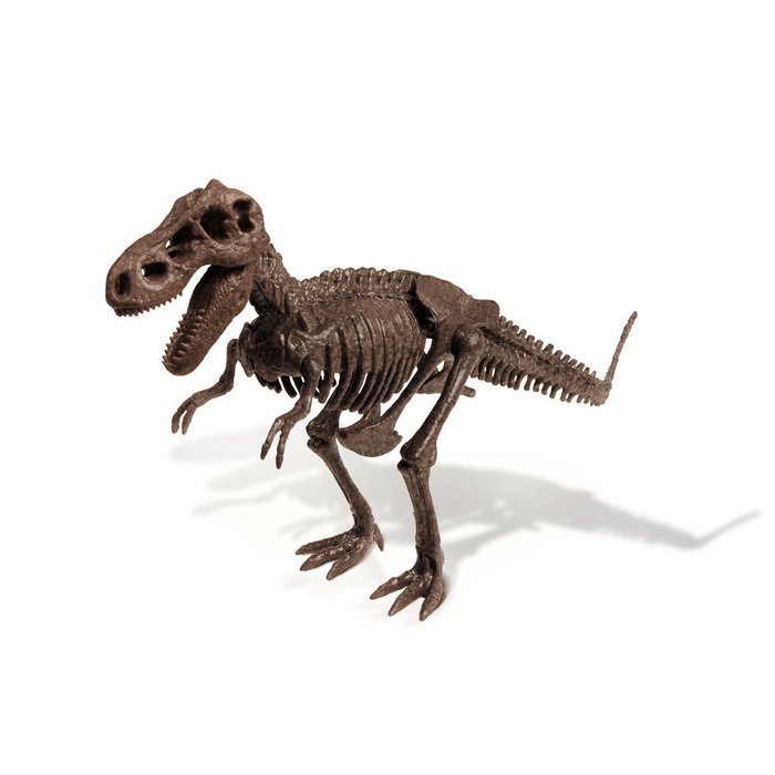 Geoworld Kit d'Excavation T.Rex - Dr. Steve 91030 avec squelette à assembler (33 cm) et poster éducatif - Jouet scientifique pour enfants dès 6 ans Geoworld Kit d'Excavation T.Rex - Dr. Steve 91030 avec squelette à assembler (33 cm) et poster éducatif - Jouet scientifique pour enfants dès 6 ans