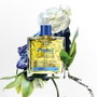 Phyto PHYTO 7 ELIXIR huile sublimatrice universelle 100 ml