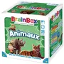 Asmodee BrainBox Jeu de Mémoire et d'Observation Animaux - Jeu de Société Éducatif pour 1 Joueur et Plus - 8 Ans et Plus - 55 Cartes, Sablier, Dé
