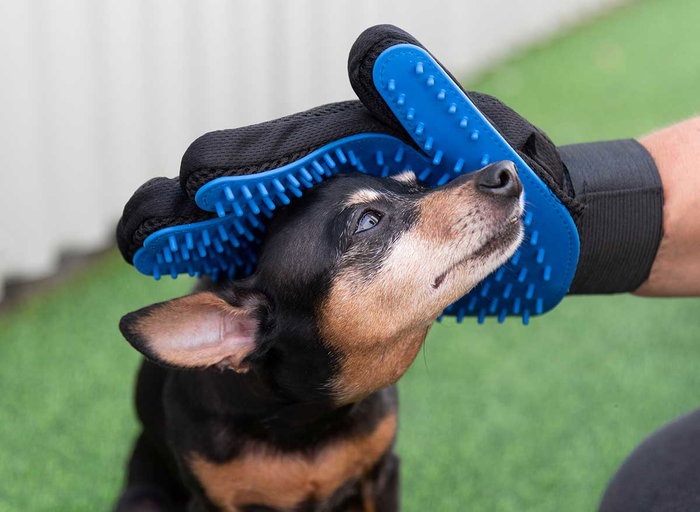 MASCOW Set de soins pour animaux 6 pièces Bleu-Noir