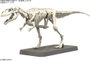 Bandai Plannosaurus Giganotosaurus Maquette Plastique Articulée Imaginary Skeleton Montage Sans Colle