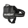 Harnais pour Chien Julius K9 Power Noir 1 Baby 1 (XS)
