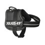 Harnais pour Chien Julius K9 Power Noir 1 Baby 1 (XS)