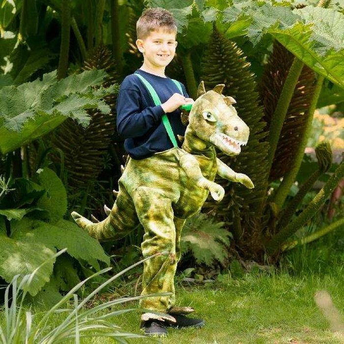 Déguisement pour Enfants Vert Dinosaure 4-6 ans