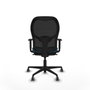 Piqueras y Crespo Chaise de Bureau 1D036G0 Noir Vert pétrole