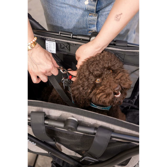 Panier à Courses Carlett CUBE P PINE Vert