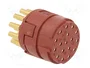LAPP Connecteur M23 EPIC® SIGNAL 17 broches femelle industriel