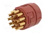 LAPP Connecteur M23 EPIC® SIGNAL 17 broches femelle industriel