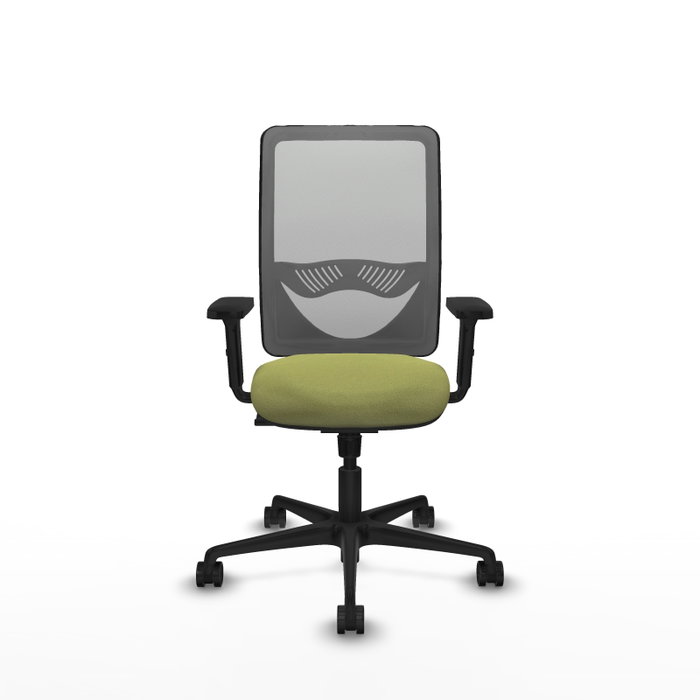PIQUERAS Y CRESPO Chaise Zulema Synchro, Vert olive et Gris
