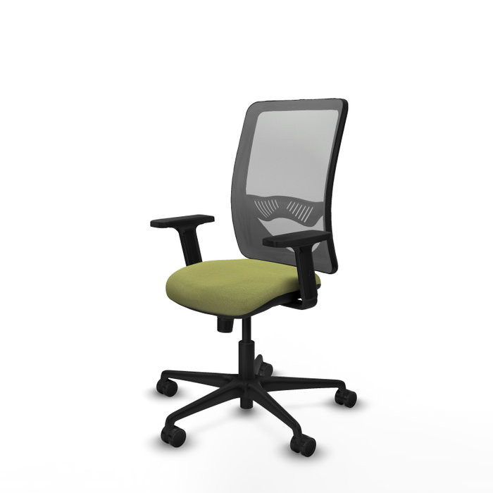 PIQUERAS Y CRESPO Chaise Zulema Synchro, Vert olive et Gris