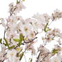 BigBuy Home Plante décorative PVC Ciment Tissu 40 x 40 x 140 cm