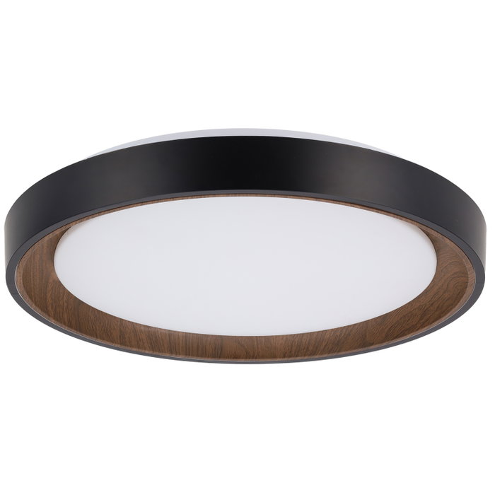 Plafonnier LED décoratif circulaire 36 W CCT 3 000-6 000 K Noir