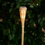 Outfit Torche solaire en bambou d.8 cm h.77 cm