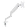 TOOQ Support Bureau VESA pour Moniteur 13-34 Pouces avec Bras Articulé, Ressort à Gaz, Blanc