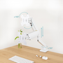 TOOQ Support Bureau VESA pour Moniteur 13-34 Pouces avec Bras Articulé, Ressort à Gaz, Blanc