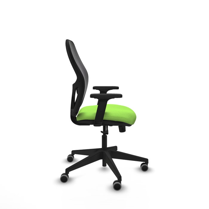 PIQUERAS Y CRESPO Chaise Alocén Synchro Vert pistache et Noir