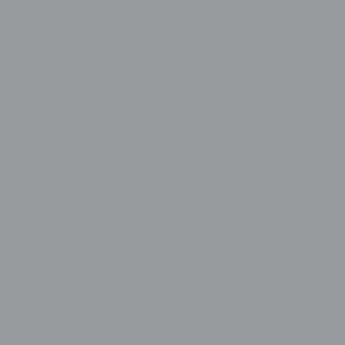 Ripolin Peinture pour Bois Intérieur & Extérieur Satin Gris Bouleau RAL 7040 - 2,5L Ripolin Peinture pour Bois Intérieur & Extérieur Satin Gris Bouleau RAL 7040 - 2,5L