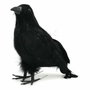BigBuy Fun Corbeau Noir Décoratif de 20 cm pour Halloween