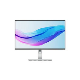 Lenovo L24m-4A - Moniteur 23,8 pouces FHD, 100Hz, IPS, USB-C, Gris