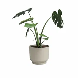 Artevasi Pot de fleur Miami 30 cm - Crème - 13 L - Dimensions 29.7x29.7x25.1 cm - Pour plantes de taille moyenne